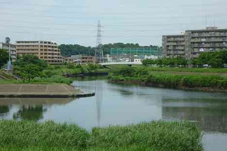 鶴見川本流全橋制覇の旅