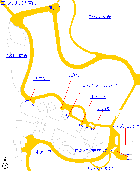 アマゾンの密林