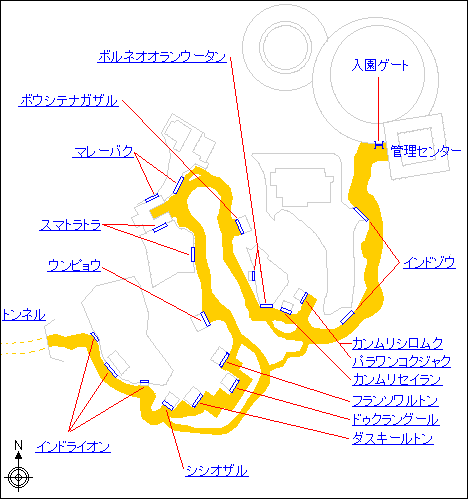 アジアの熱帯林