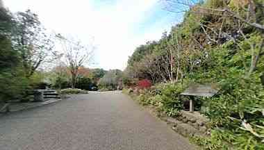 日本の山里