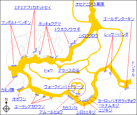 亜寒帯の森